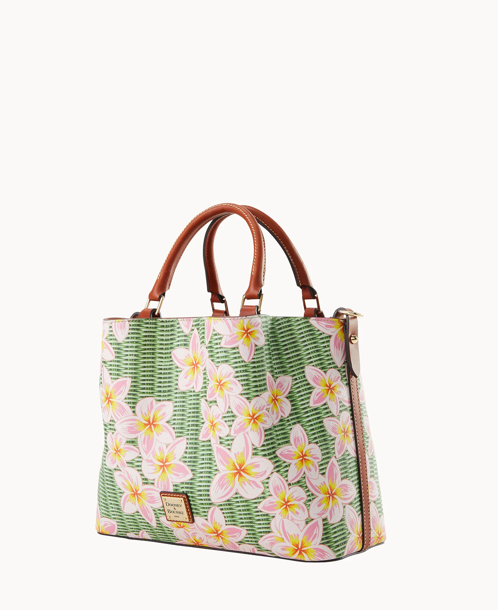Plumeria Brenna - Image 6